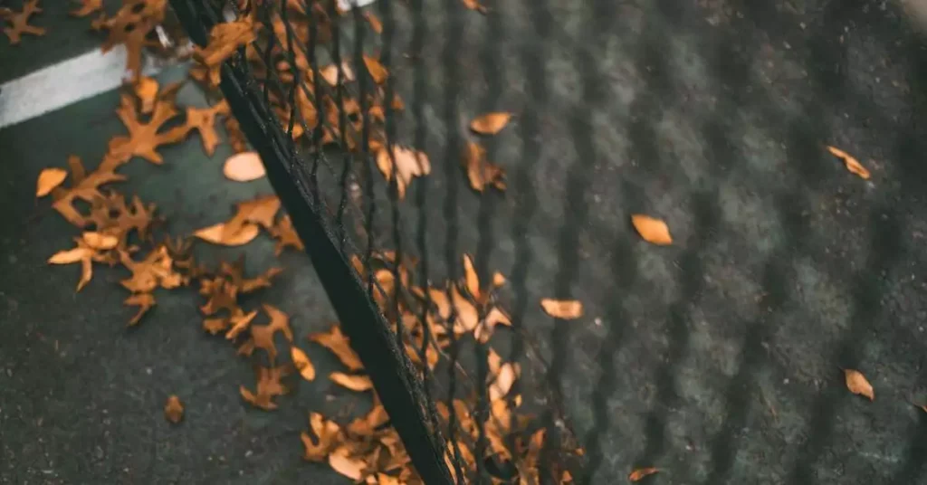 leaves on tennis court
